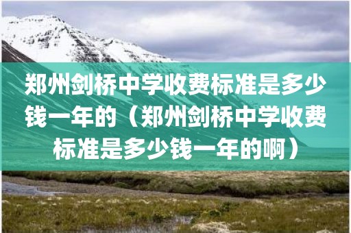 郑州剑桥中学收费标准是多少钱一年的（郑州剑桥中学收费标准是多少钱一年的啊）