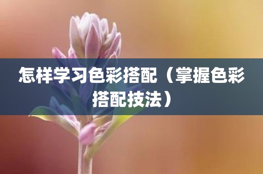 怎样学习色彩搭配（掌握色彩搭配技法）