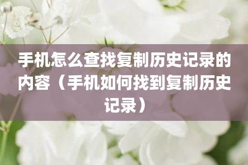 手机怎么查找复制历史记录的内容（手机如何找到复制历史记录）