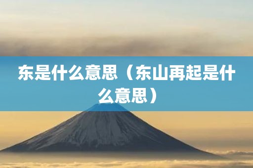东是什么意思（东山再起是什么意思）
