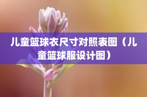 儿童篮球衣尺寸对照表图（儿童篮球服设计图）