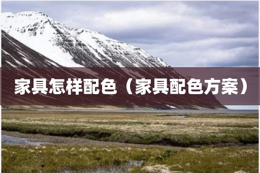 家具怎样配色（家具配色方案）