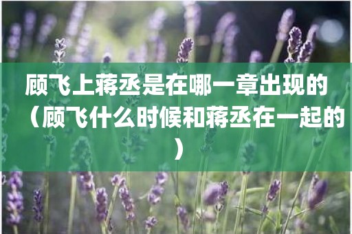 顾飞上蒋丞是在哪一章出现的（顾飞什么时候和蒋丞在一起的）