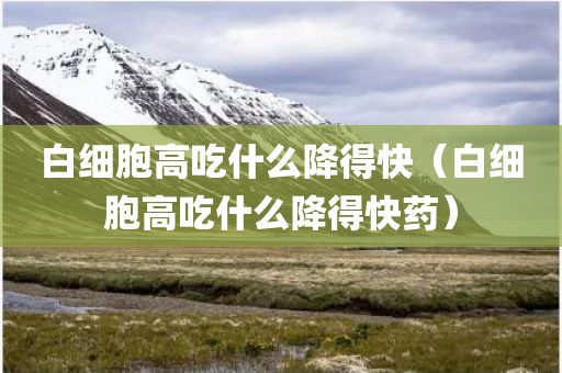 白细胞高吃什么降得快（白细胞高吃什么降得快药）