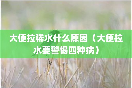 大便拉稀水什么原因（大便拉水要警惕四种病）
