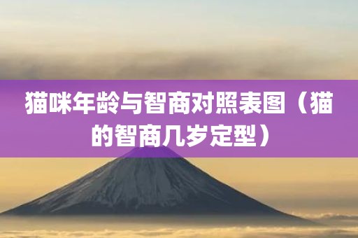 猫咪年龄与智商对照表图（猫的智商几岁定型）