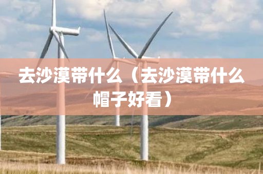 去沙漠带什么(去沙漠带什么帽子好看) 去沙漠带什么(去沙漠带什么帽子好看)