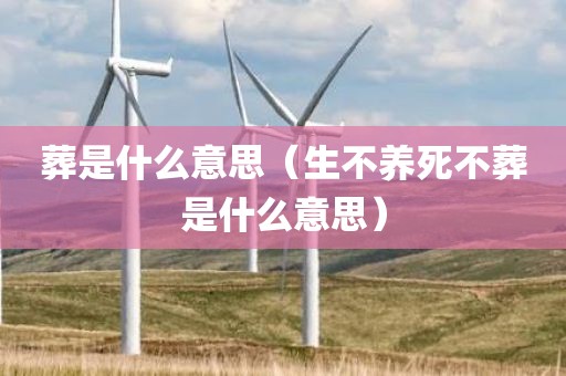 葬是什么意思（生不养死不葬是什么意思）