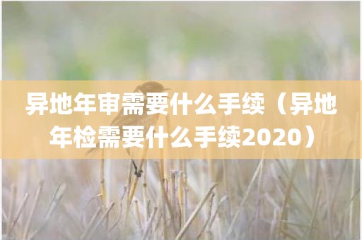 异地年审需要什么手续（异地年检需要什么手续2020）