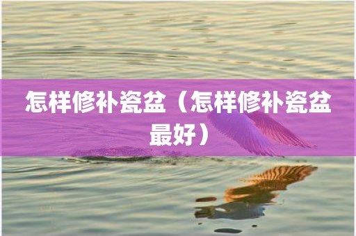 怎样修补瓷盆(怎样修补瓷盆最好)