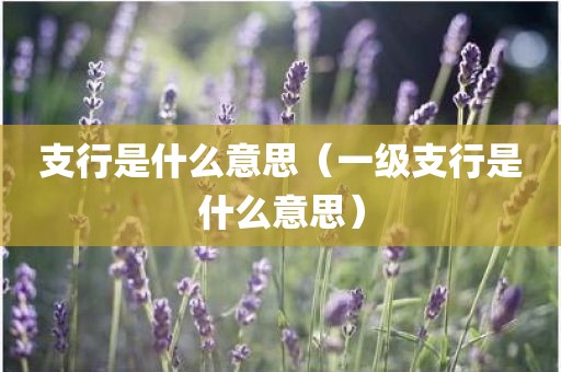 支行是什么意思（一级支行是什么意思）