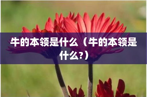 牛的本领是什么(牛的本领是什么?)