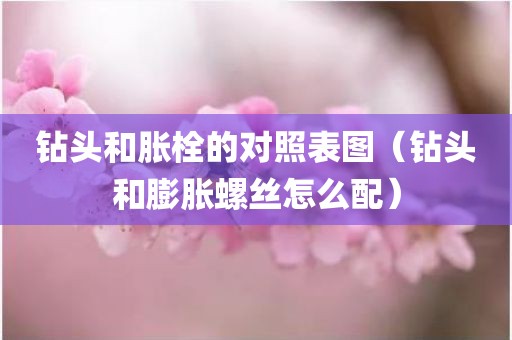 钻头和胀栓的对照表图（钻头和膨胀螺丝怎么配）