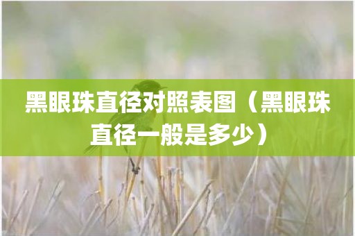 黑眼珠直径对照表图（黑眼珠直径一般是多少）