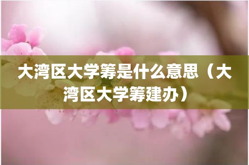 大湾区大学筹是什么意思（大湾区大学筹建办）