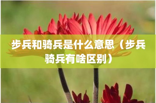 步兵和骑兵是什么意思（步兵骑兵有啥区别）