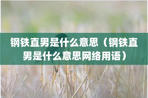 钢铁直男是什么意思（钢铁直男是什么意思网络用语）