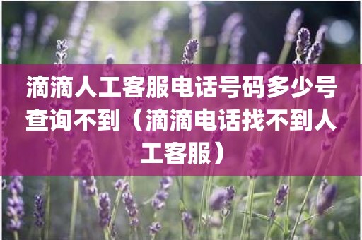 滴滴人工客服电话号码多少号查询不到（滴滴电话找不到人工客服）