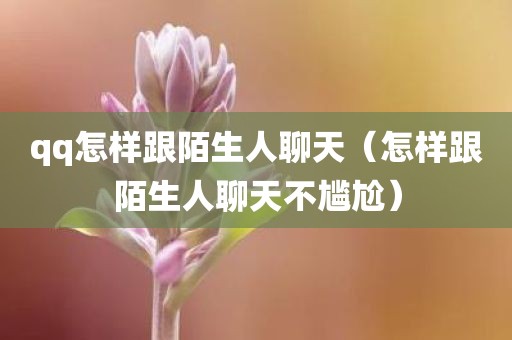 qq怎样跟陌生人聊天（怎样跟陌生人聊天不尴尬）