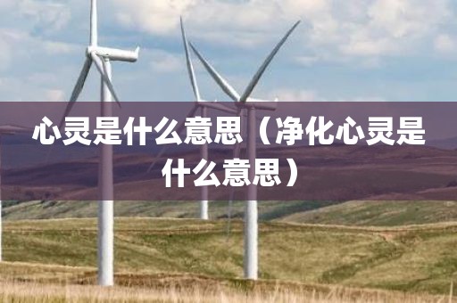 心灵是什么意思（净化心灵是什么意思）