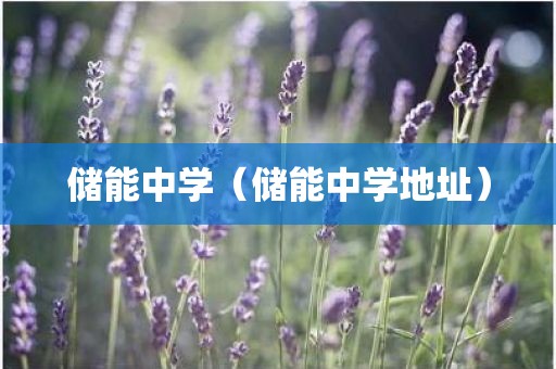 储能中学（储能中学地址）