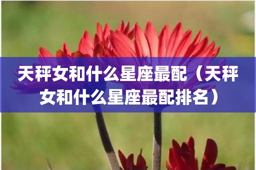 天秤女和什么星座最配(天秤女和什么星座最配排名)