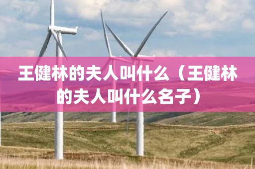 王健林的夫人叫什么（王健林的夫人叫什么名子）