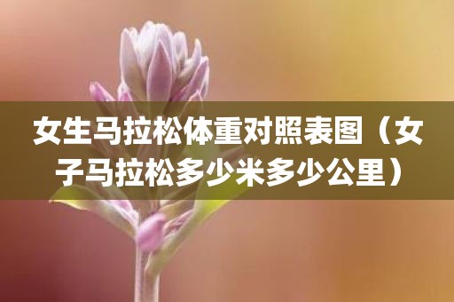 女生马拉松体重对照表图（女子马拉松多少米多少公里）