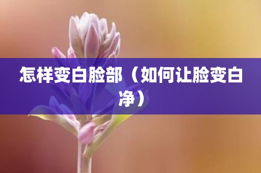 怎样变白脸部（如何让脸变白净）