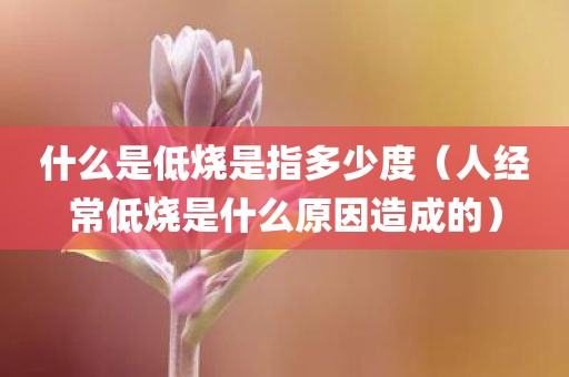 什么是低烧是指多少度（人经常低烧是什么原因造成的）
