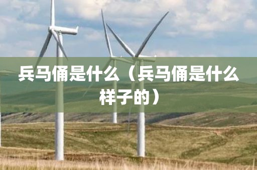 兵马俑是什么（兵马俑是什么样子的）
