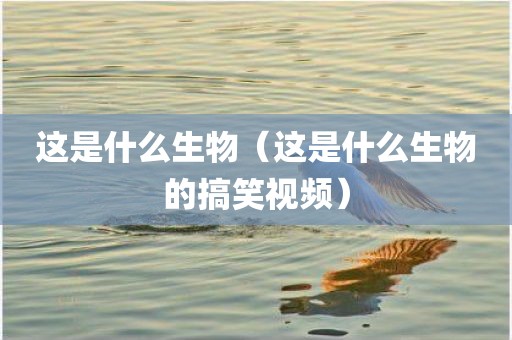 这是什么生物（这是什么生物的搞笑视频）