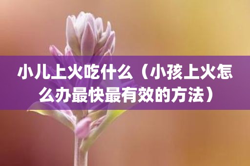 小儿上火吃什么（小孩上火怎么办最快最有效的方法）
