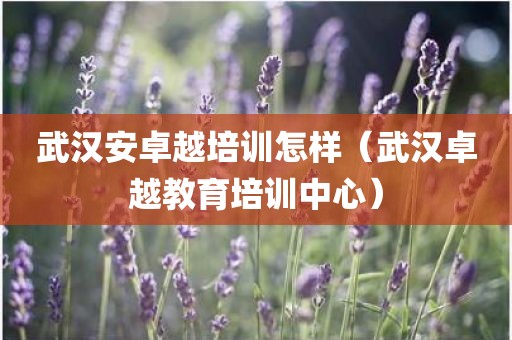 武汉安卓越培训怎样（武汉卓越教育培训中心）