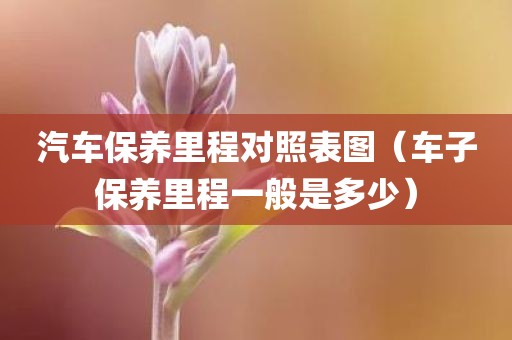 汽车保养里程对照表图（车子保养里程一般是多少）