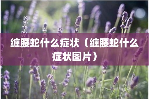 缠腰蛇什么症状（缠腰蛇什么症状图片）