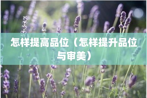 怎样提高品位（怎样提升品位与审美）