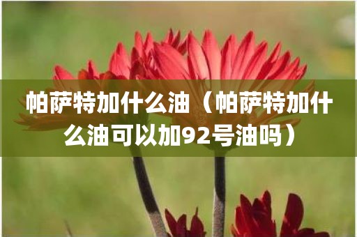 帕萨特加什么油(帕萨特加什么油可以加92号油吗)