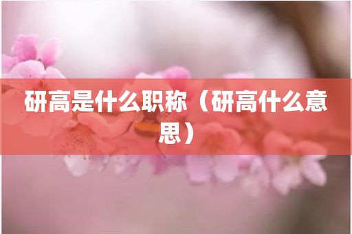 研高是什么职称（研高什么意思）