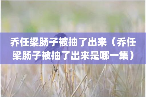 乔任梁肠子被抽了出来（乔任梁肠子被抽了出来是哪一集）
