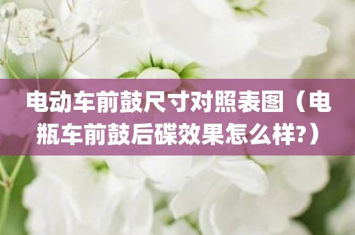 电动车前鼓尺寸对照表图(电瓶车前鼓后碟效果怎么样?)