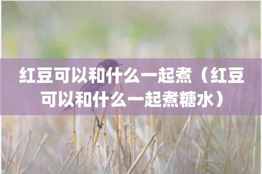 红豆可以和什么一起煮（红豆可以和什么一起煮糖水）