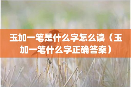 玉加一笔是什么字怎么读（玉加一笔什么字正确答案）
