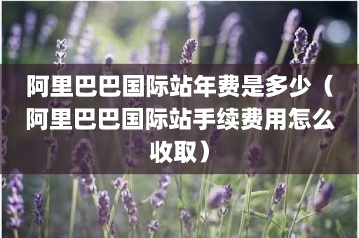 阿里巴巴国际站年费是多少（阿里巴巴国际站手续费用怎么收取）