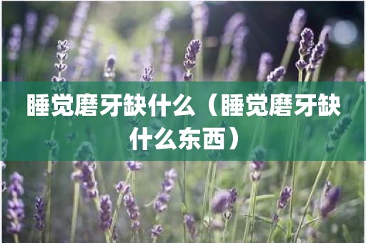 睡觉磨牙缺什么（睡觉磨牙缺什么东西）
