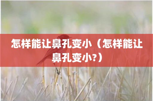 怎样能让鼻孔变小（怎样能让鼻孔变小?）
