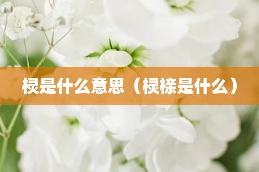 棂是什么意思（棂榇是什么）