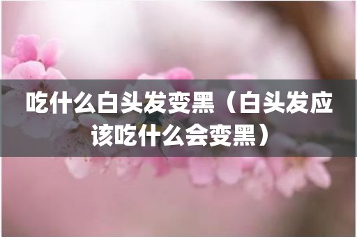 吃什么白头发变黑（白头发应该吃什么会变黑）