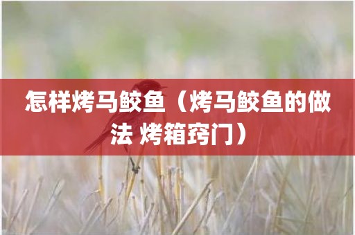 怎样烤马鲛鱼（烤马鲛鱼的做法 烤箱窍门）