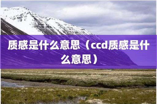 质感是什么意思（ccd质感是什么意思）